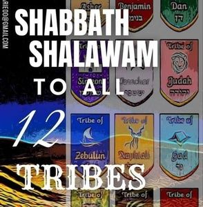 Meet your Posher, Marcus